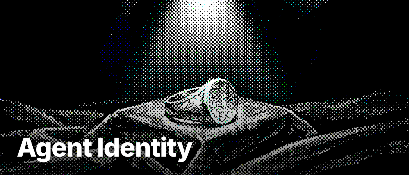 What is agent identity?