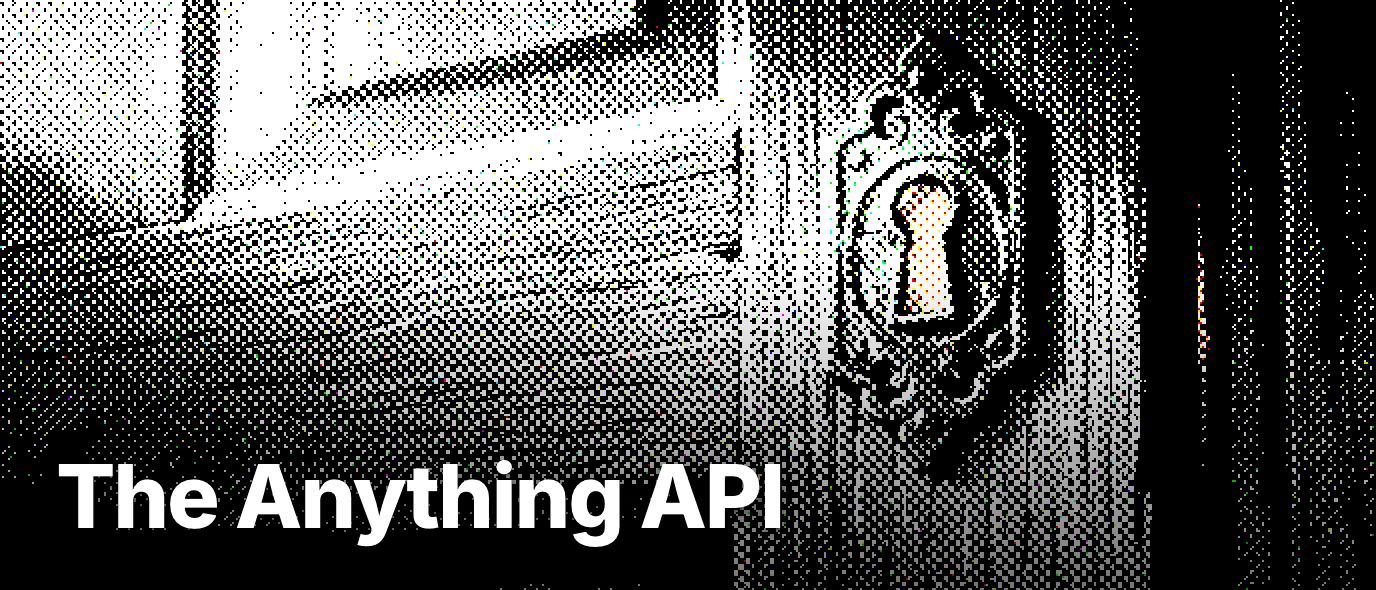 What is the Anything API?